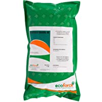 CULTIVERS Tierra de Diatomeas 1 kg Micronizada. 100% Natural y Ecológico. No calcinada de alta pureza- sin tratamientos…